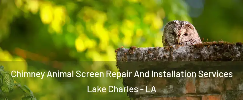  Chimney Animal Screen Repair And Installation Services Lake Charles - LA