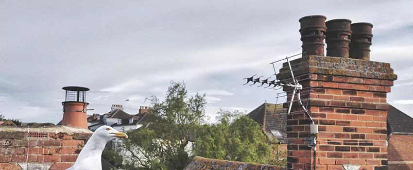 Chimney Cleaning And Restoration in Lake Charles, Louisiana